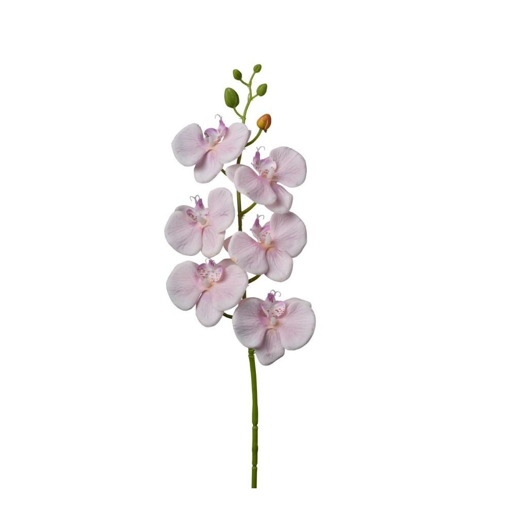 RAMO ORCHIDEA SOFT PINK